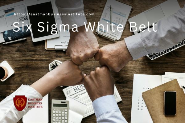 Six-Sigma-White-Belt
