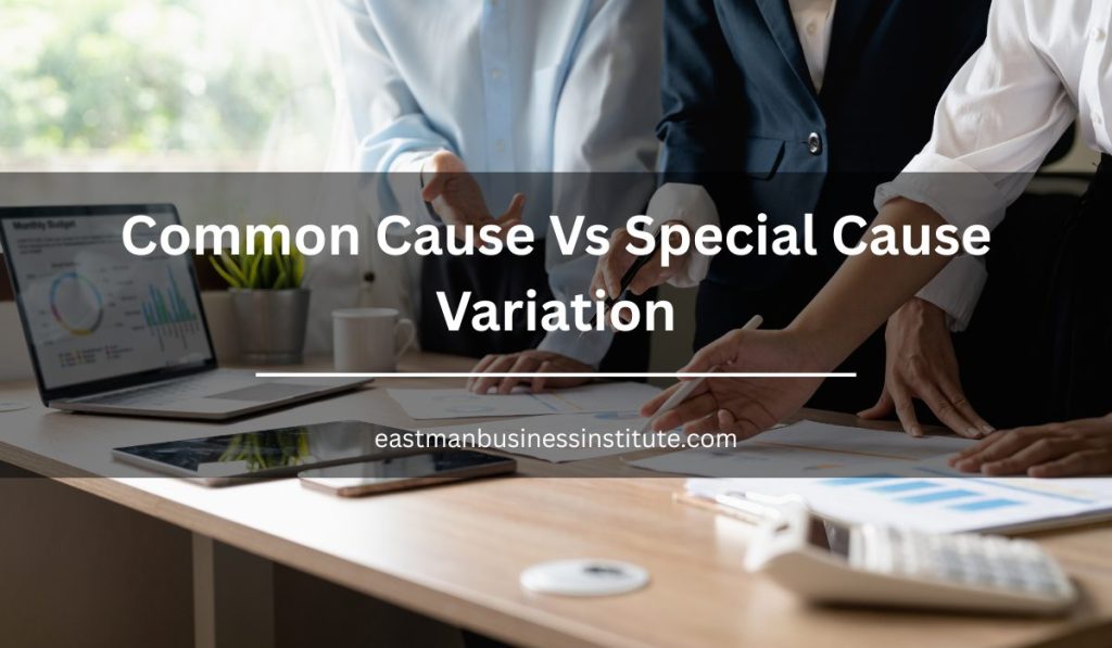 Business team analyzing performance metrics and process data to explain common cause vs special cause variation in Six Sigma.
