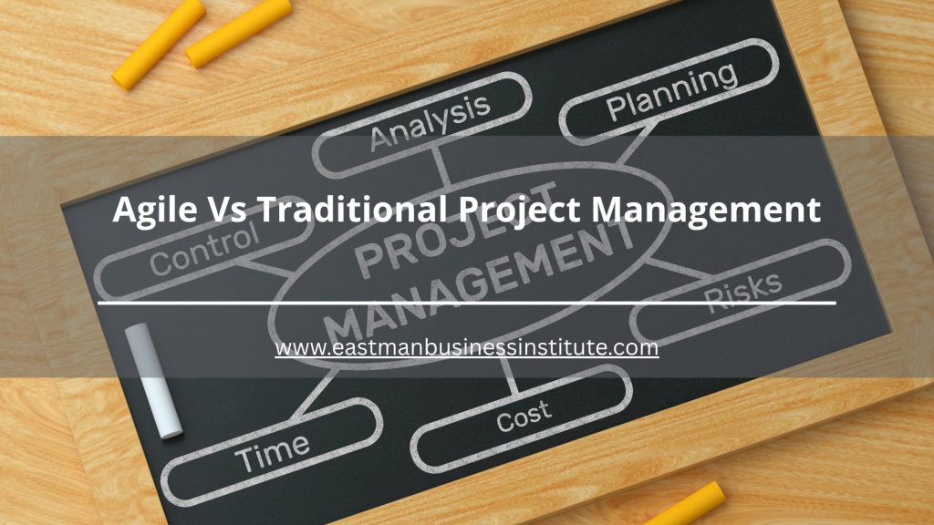 Illustration comparing Agile vs traditional project management approaches, highlighting planning, analysis, risk management, cost, and project control.