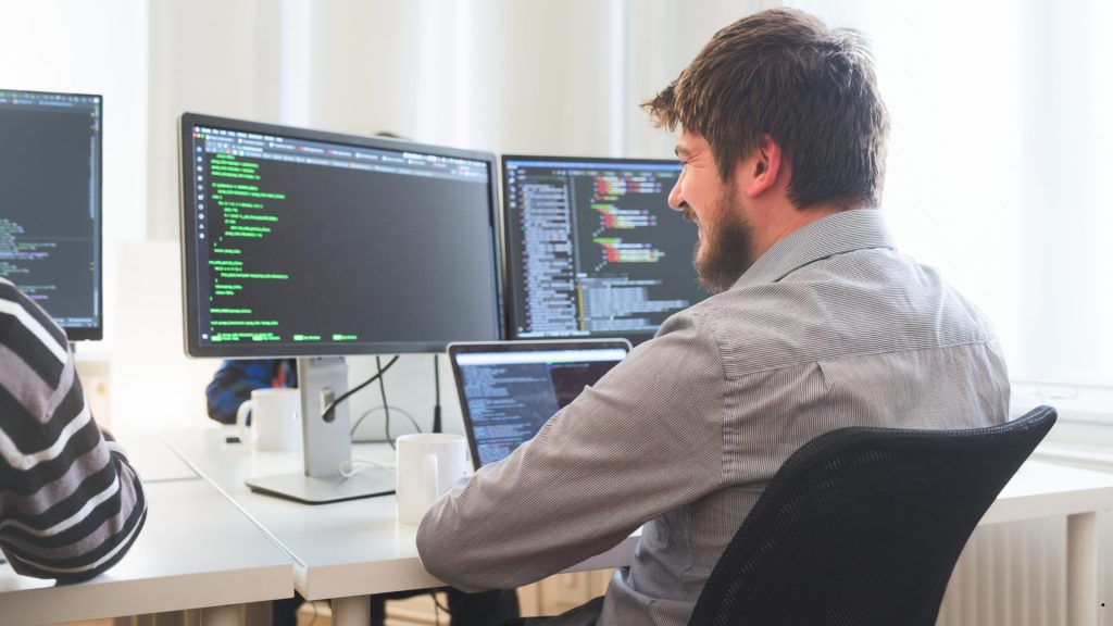 SEO-friendly ALT text describing SE vs SD concepts with a software developer reviewing code and statistical data across multiple monitors.