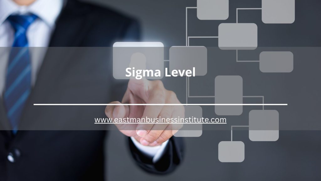 Sigma Level business process framework illustrating performance measurement, quality standards, and Six Sigma improvement methodologies.