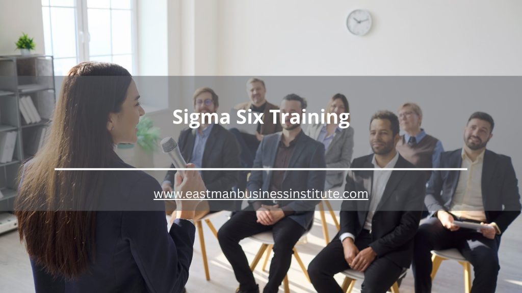 Trainer presenting Sigma Six Training concepts to professionals during a business skills development session.