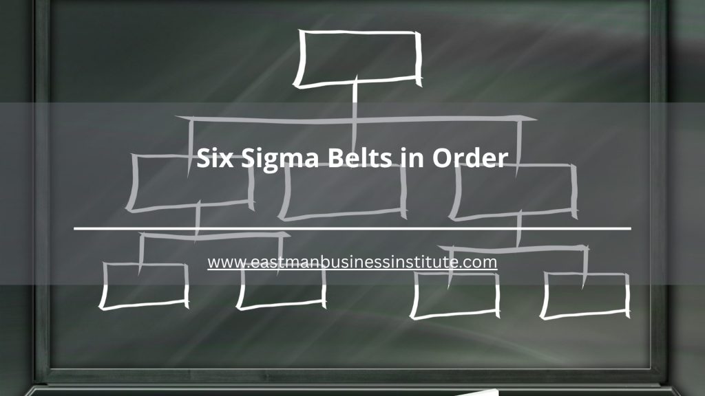 Chalkboard-style hierarchy diagram explaining Six Sigma belts in order from White Belt to Master Black Belt.