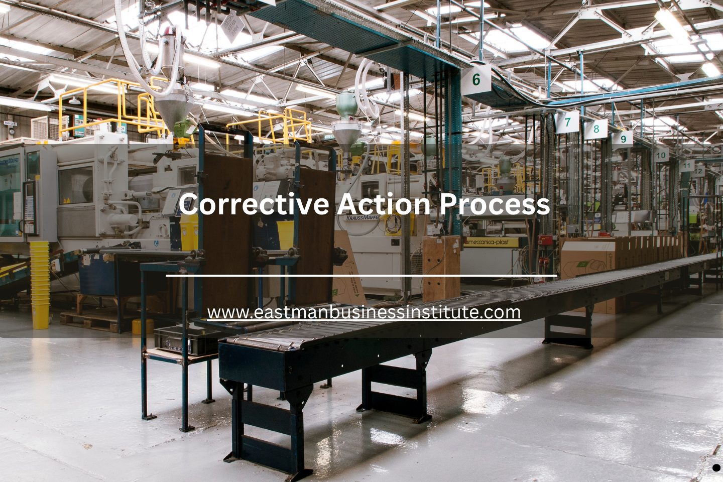 Boost Quality: Master Corrective Action Process