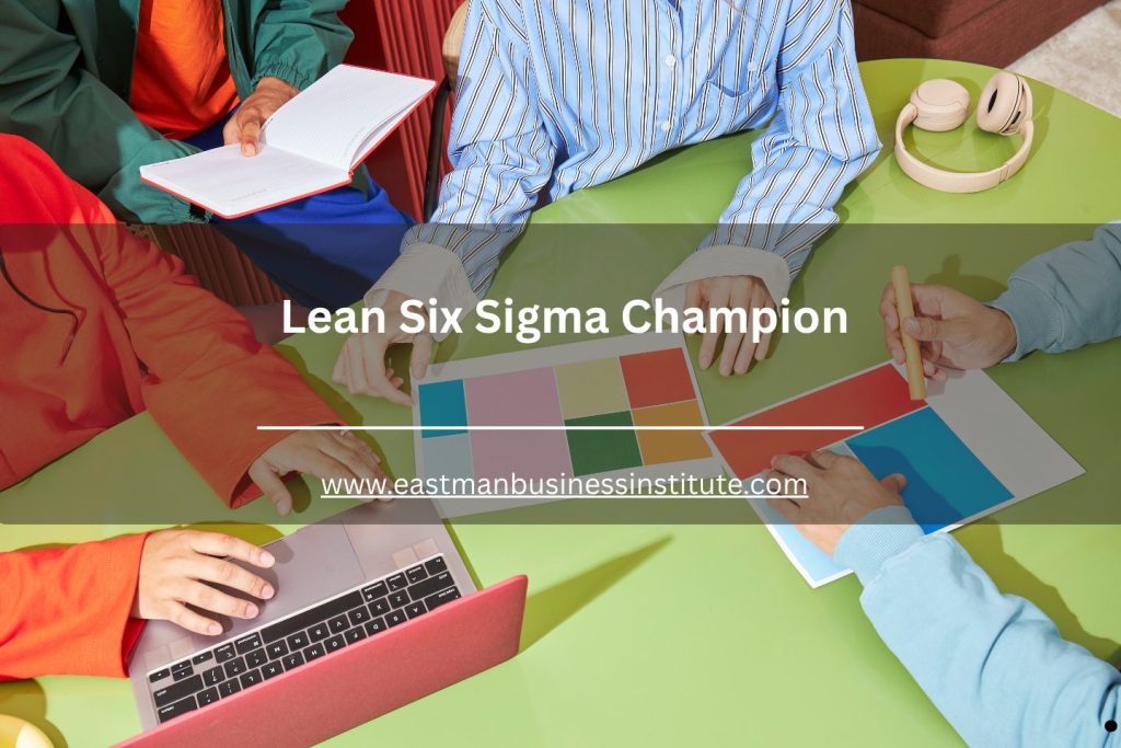 Lean Six Sigma Champion workshop with collaborative strategy planning, performance improvement discussions, and process excellence tools.