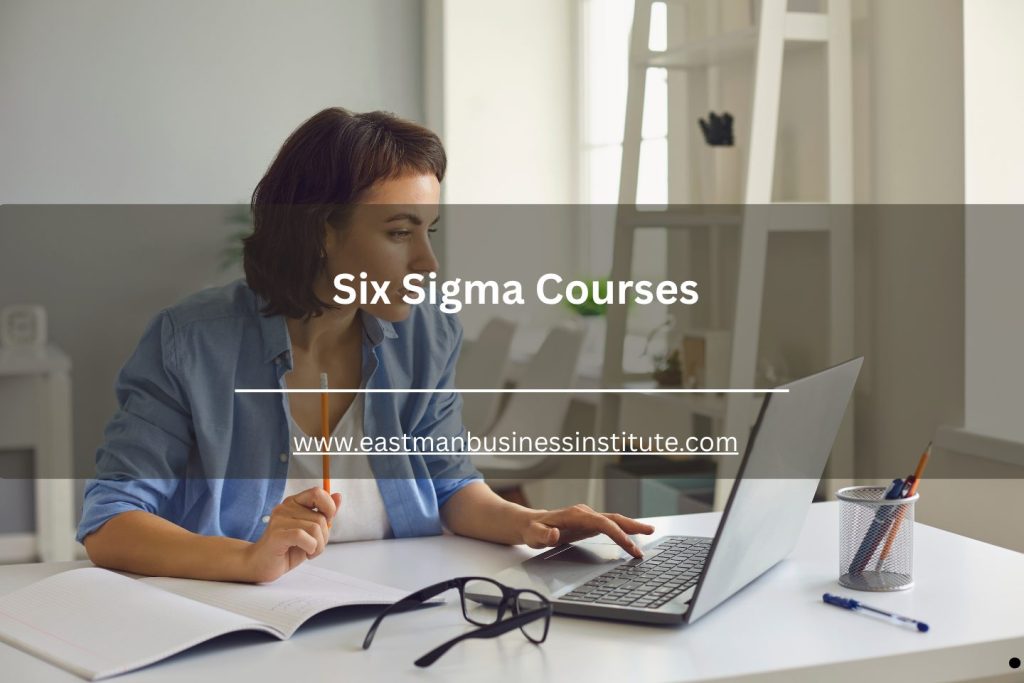 Six Sigma courses online learning session with professional studying Lean Six Sigma concepts and business improvement methods.