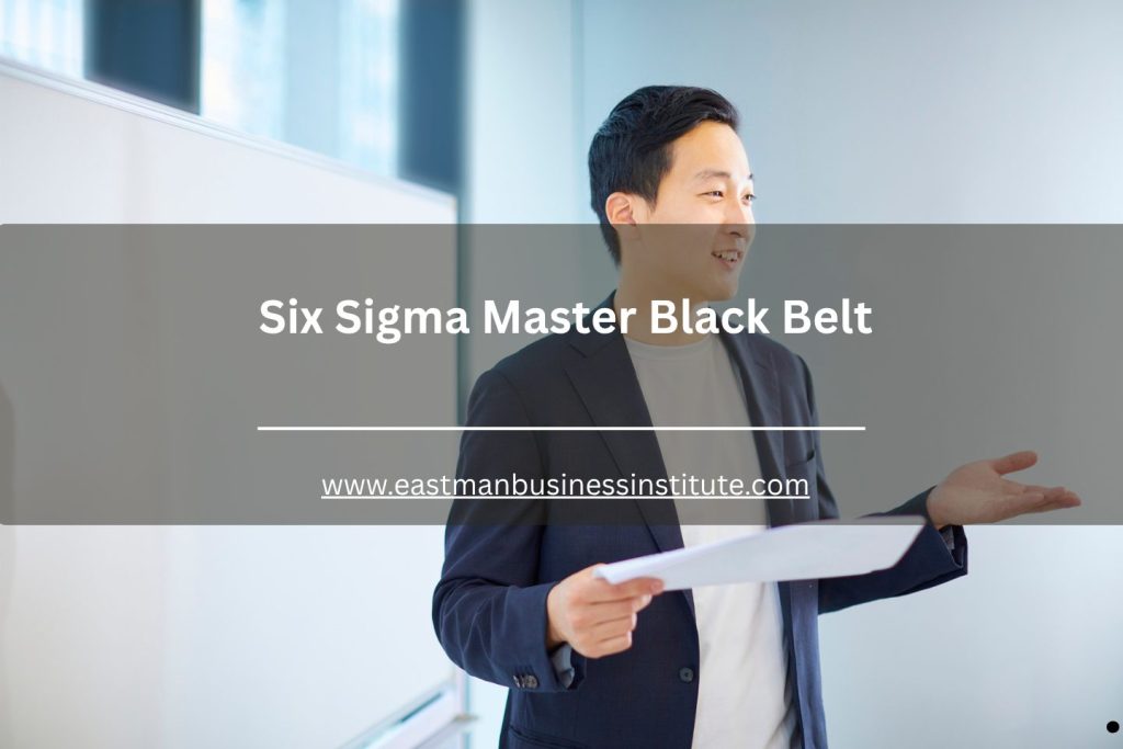Six Sigma Master Black Belt professional presenting process improvement strategies during a business training session.